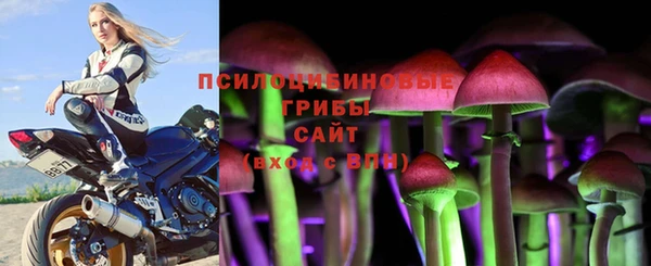 дурь Белоозёрский