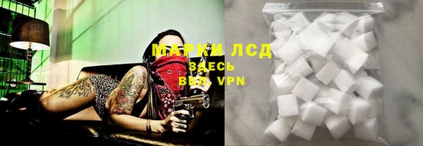 твердый Белокуриха