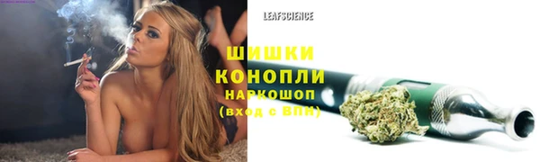дурь Белоозёрский