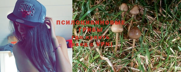 дурь Белоозёрский