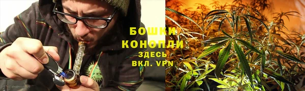 твердый Белокуриха