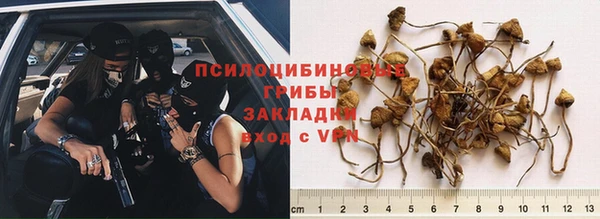 дурь Белоозёрский