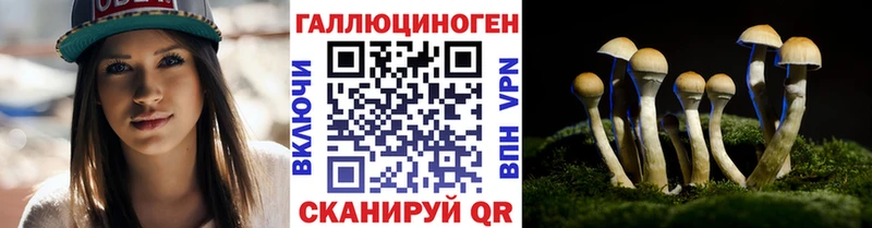 Псилоцибиновые грибы ЛСД  блэк спрут   даркнет какой сайт  где можно купить наркотик  Емва 